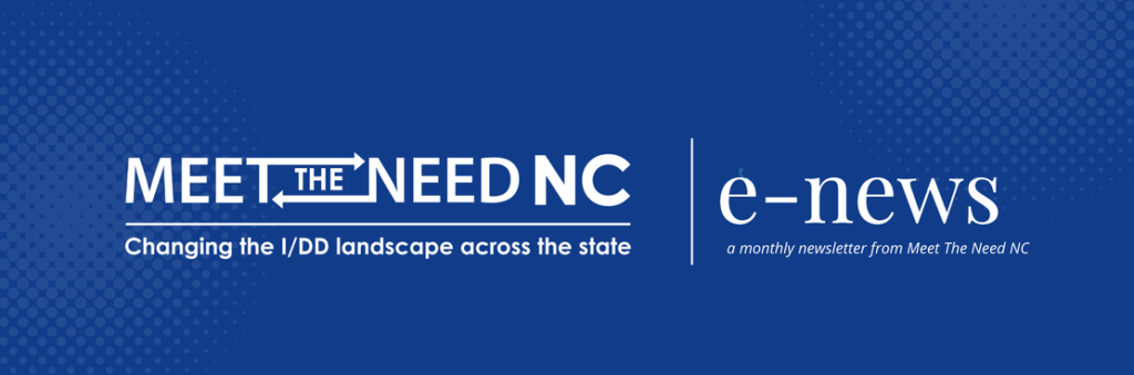 Meet the Need NC e-news banner